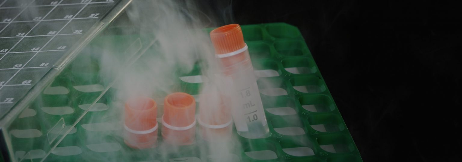 wholesale dry ice distribution medical dry ice hospital dry ice pharmaceutical dry ice